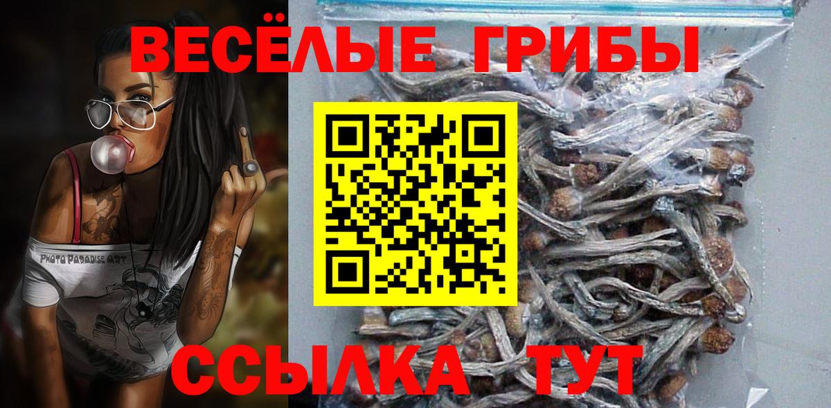 Псилоцибиновые грибы Magic Shrooms  купить наркотик  Ярцево  Вход с VPN 